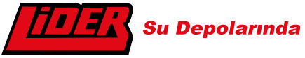 Logo-lider-2